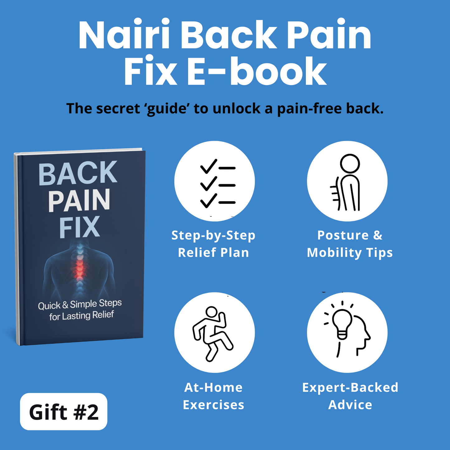 Nairi inversion Back pain Kit™